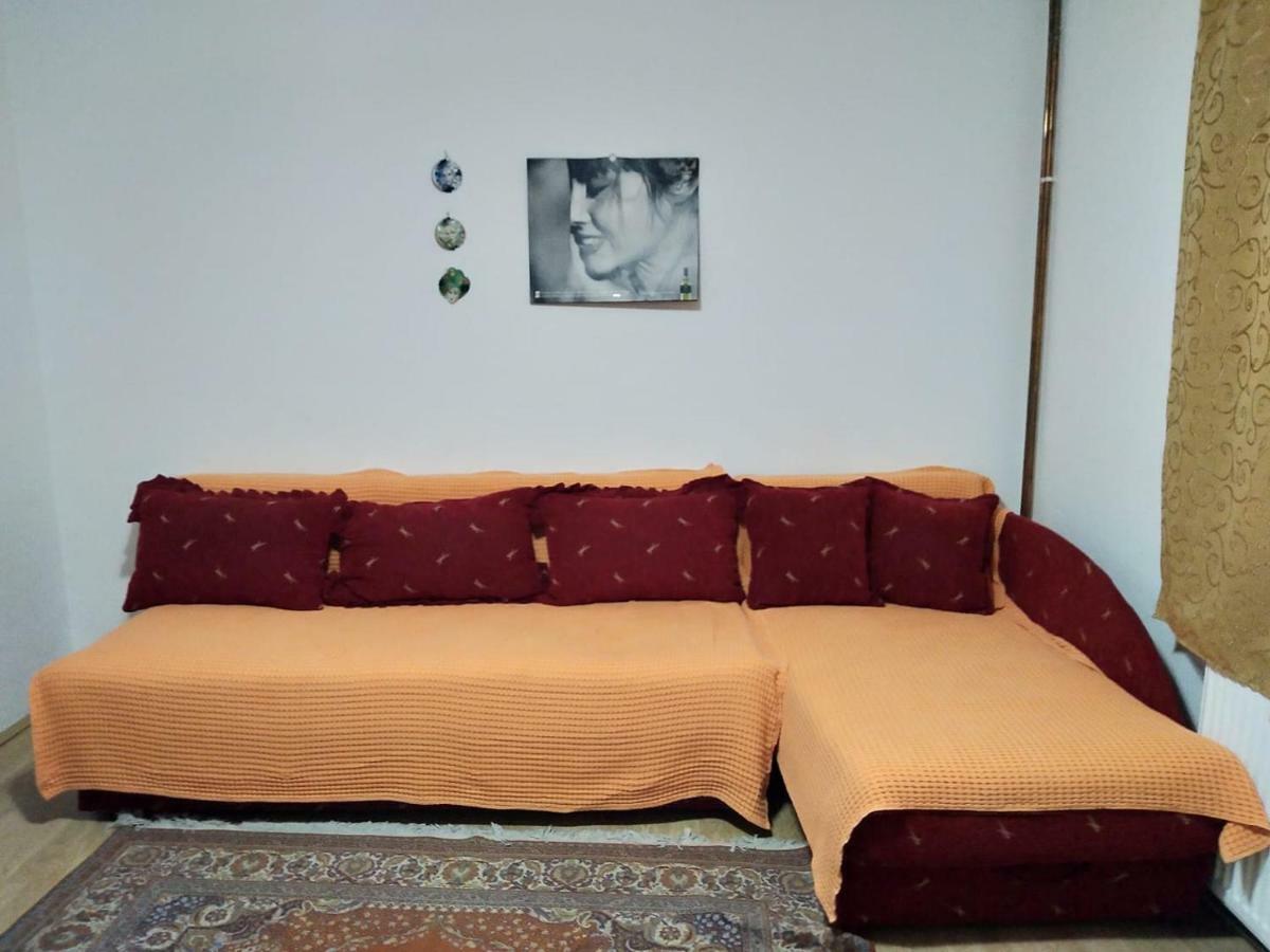 Vila Lenka Sokobanja 외부 사진